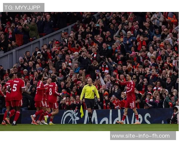 斯洛特谈球迷支持与运气因素布莱顿胜利背后的故事与启示